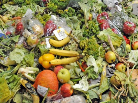 91视频一区二区垃圾处理机‍有哪些要求呢