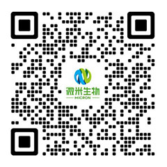91视频网站下载生物-91视频一区二区/91视频黄片APP/91视频污污污下载厂家-项目投资运营商
